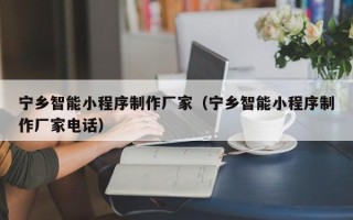 池州宁乡智能小程序制作厂家（宁乡智能小程序制作厂家电话）