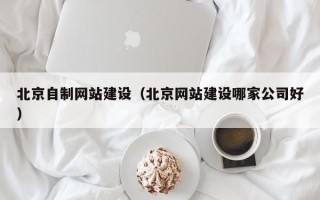 池州北京自制网站建设（北京网站建设哪家公司好）