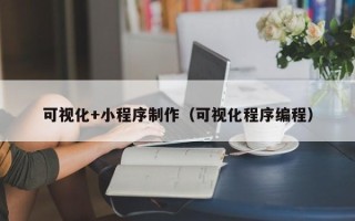 池州可视化+小程序制作（可视化程序编程）